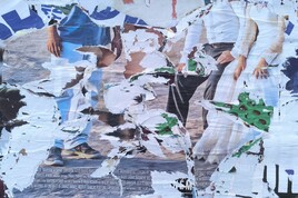 Story of Green Garden