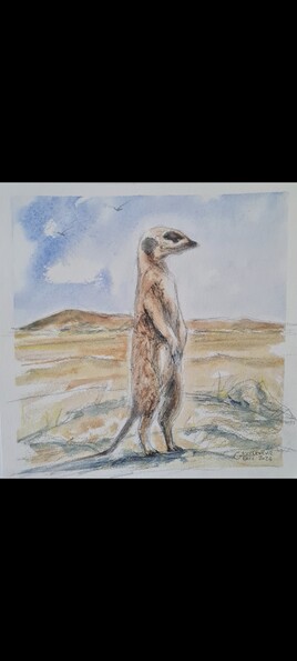 Suricate