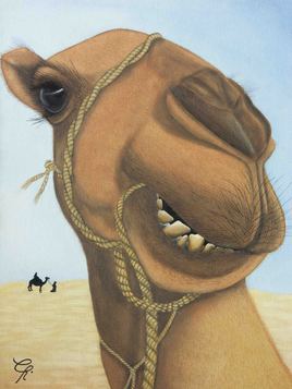 le chameau 