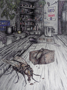 "Bestiaire du petit monde qui nous entoure" N&deg;12