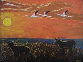 coucher de soleil au stes maries