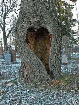coeur en bois