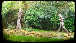 Quand le bois et l homme se rencontrent