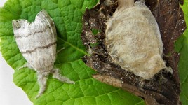 Je vous présente mon lit !!