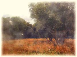 Biodiversité sauvage