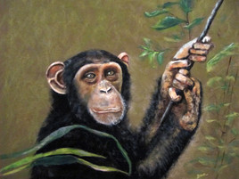 Un Chimpanze 2