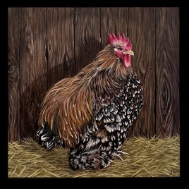 Le roi du soleil levant