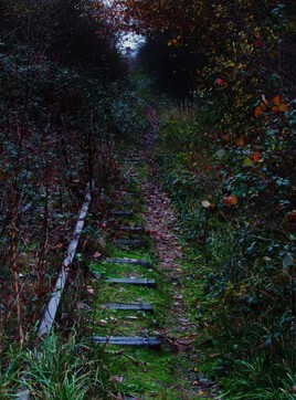 Dans le creux des endroits paisibles