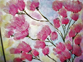 les cerisiers du japon en fleurs