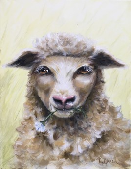 Le Mouton 11x14
