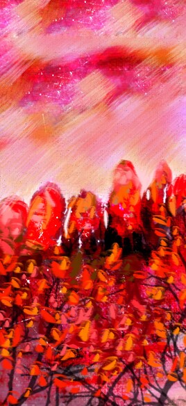 Paysage soleil couchant