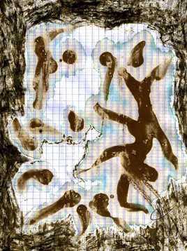 Algues assi&eacute;g&eacute;es