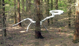 dinaosaurus vulgaris en sapini&egrave;re...