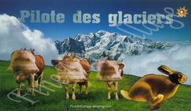 Pilote des glaciers