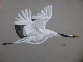 Vol de grue du Japon