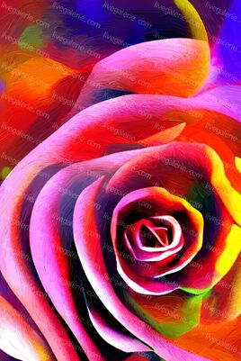 La rose colorée de mes rêves