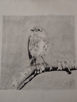 Rouge george sur une branche