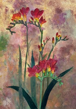 Freesias