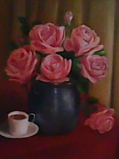 Roses en pot