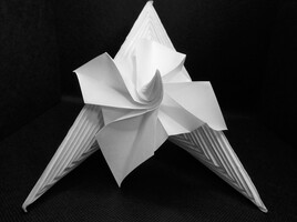 au fil des plis, origami improvisé
