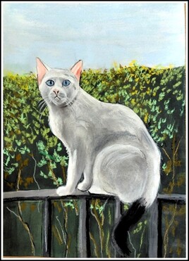 Le chat de mon amie, r&eacute;alis&eacute; avec elle au pastel sec, en cours &agrave; l'atelier.