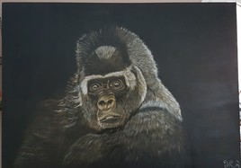 gorille dans le noir