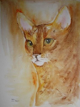 Aquarelle Chat Abyssin