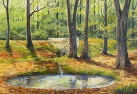 Brienne le Ch&acirc;teau - For&ecirc;t