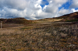 Orage &agrave; venir sur les dunes