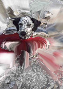 Portrait Dalmatien