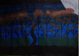 For&ecirc;t d'automne sous lune &eacute;toil&eacute;e