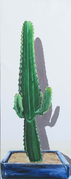 Le Cactus et son ombre
