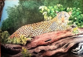Leo le l&eacute;opard