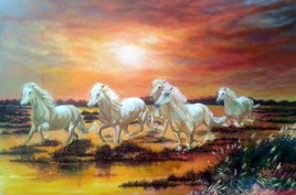 Chevaux au galop
