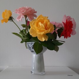 Vase avec des roses II