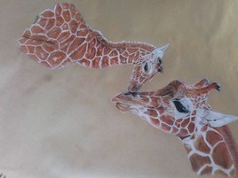 girafe et girafon