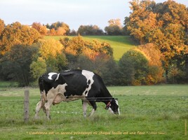 l'automne à la campagne