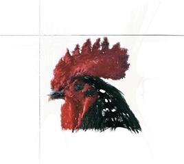 Coq