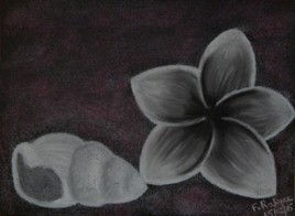 fleur et coquillage