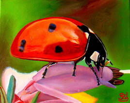 Coccinelle 2
