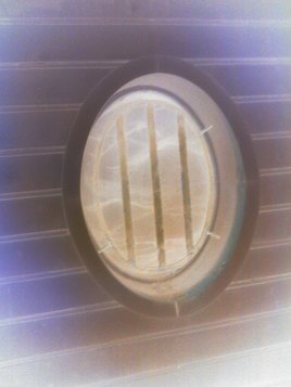 20 milieux sous les murs