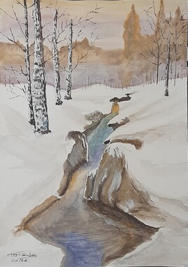 Sous bois sous la neige.