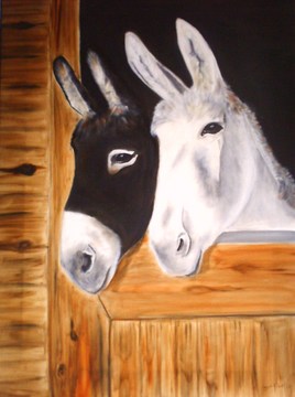 Duo d'ânes