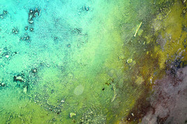 DETAILS "Aurore bor&eacute;ale"