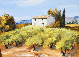 Vignes en Provence