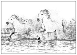 Dessin de chevaux galopants