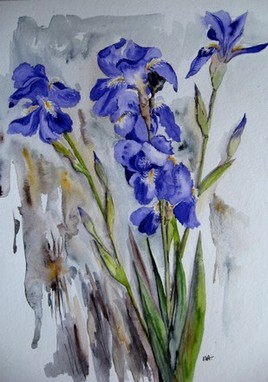 Iris bleu - beauté éphémère