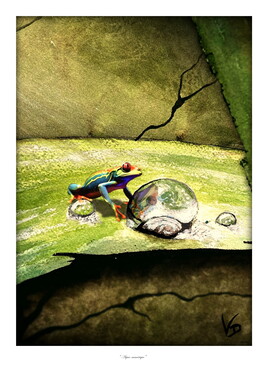 "Aqua-num&eacute;rique"