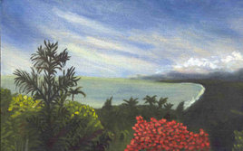 Côte et forêt tropicale de Daintree