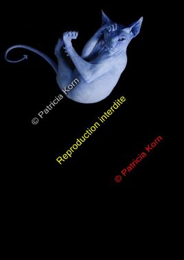 OGM - Oeuvre des G&eacute;nies du Mal